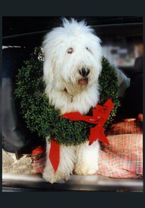 /images/events/19/Gray Xmas 1997a.jpg